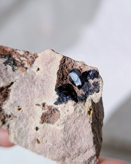 [AZ29] Azurite on matrix, Morocco