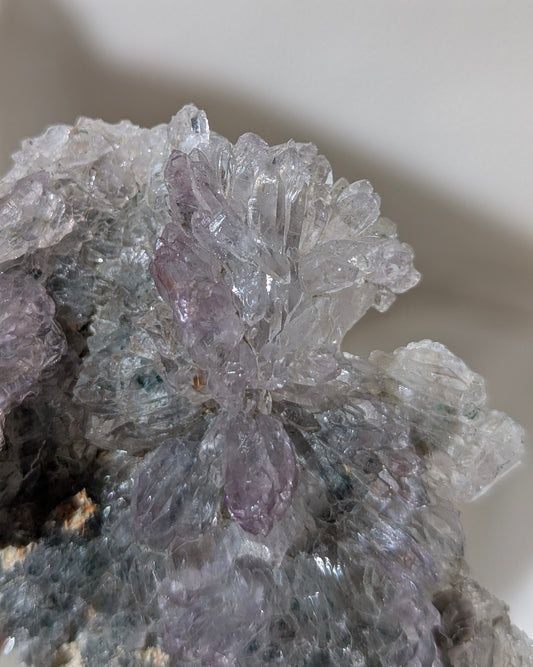 [AF01] Amethyst Flower 異象水晶花