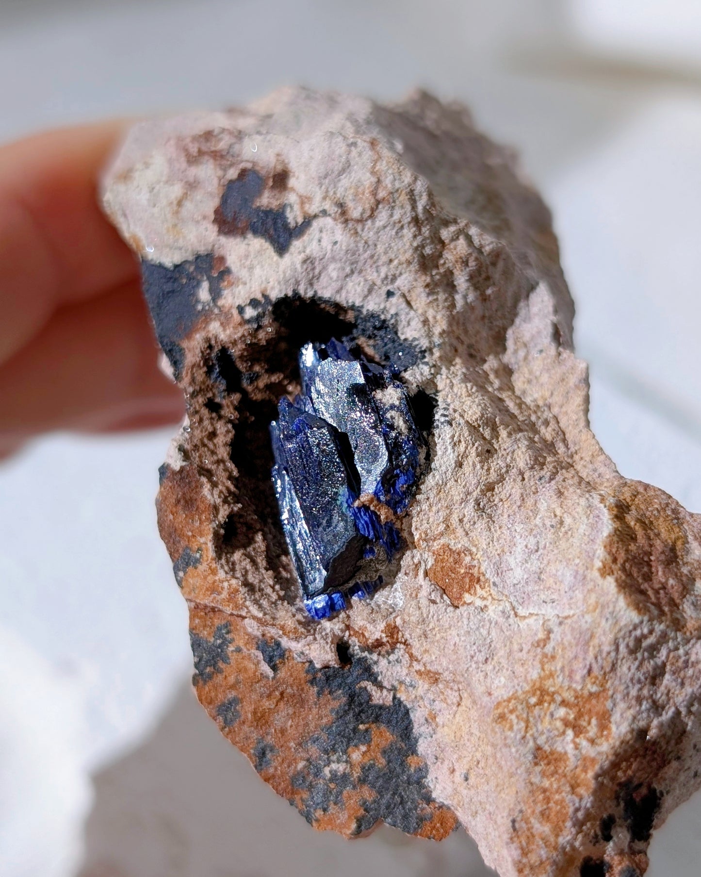 [AZ31] Azurite on matrix, Morocco