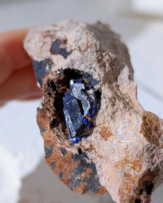 [AZ31] Azurite on matrix, Morocco