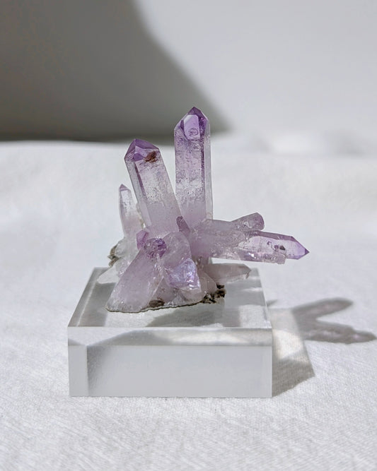 [VC06] Vera Cruz Amethyst 克魯茲紫水晶
