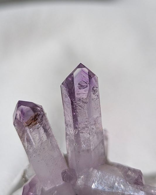 [VC06] Vera Cruz Amethyst 克魯茲紫水晶