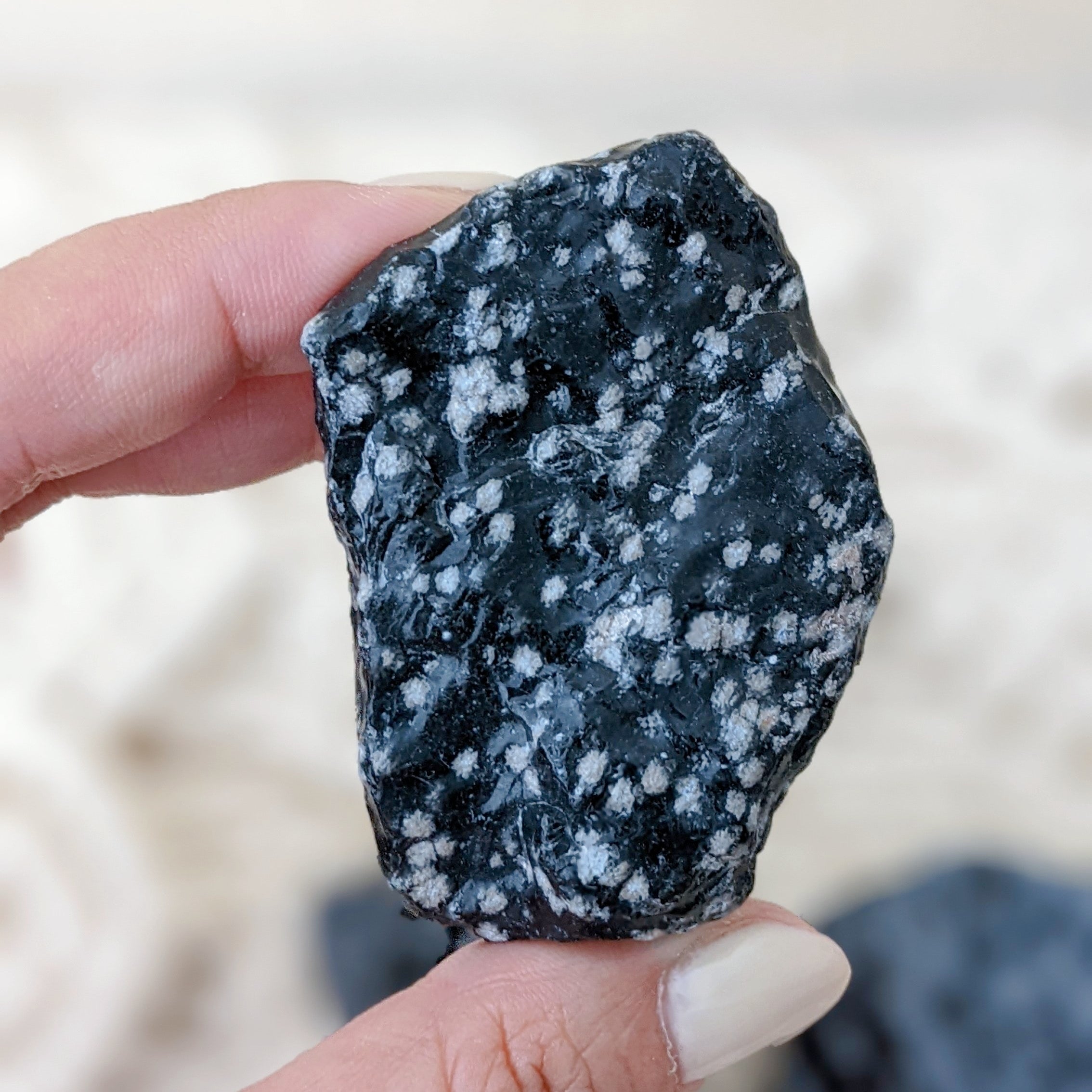 OB] Snowflake Obsidian 雪花黑曜石原石– Moonpath Stones