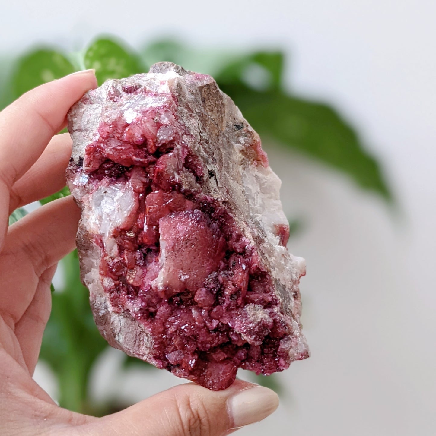 [CC02] Burgundy Cobaltocalcite with Malachite and Calcite, Congo