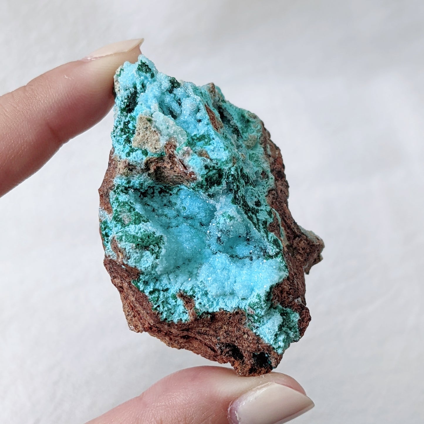 [CY02] Chrysocolla Malachite Dioptase and Quartz, Congo 剛果硅孔雀石翠銅石英共生