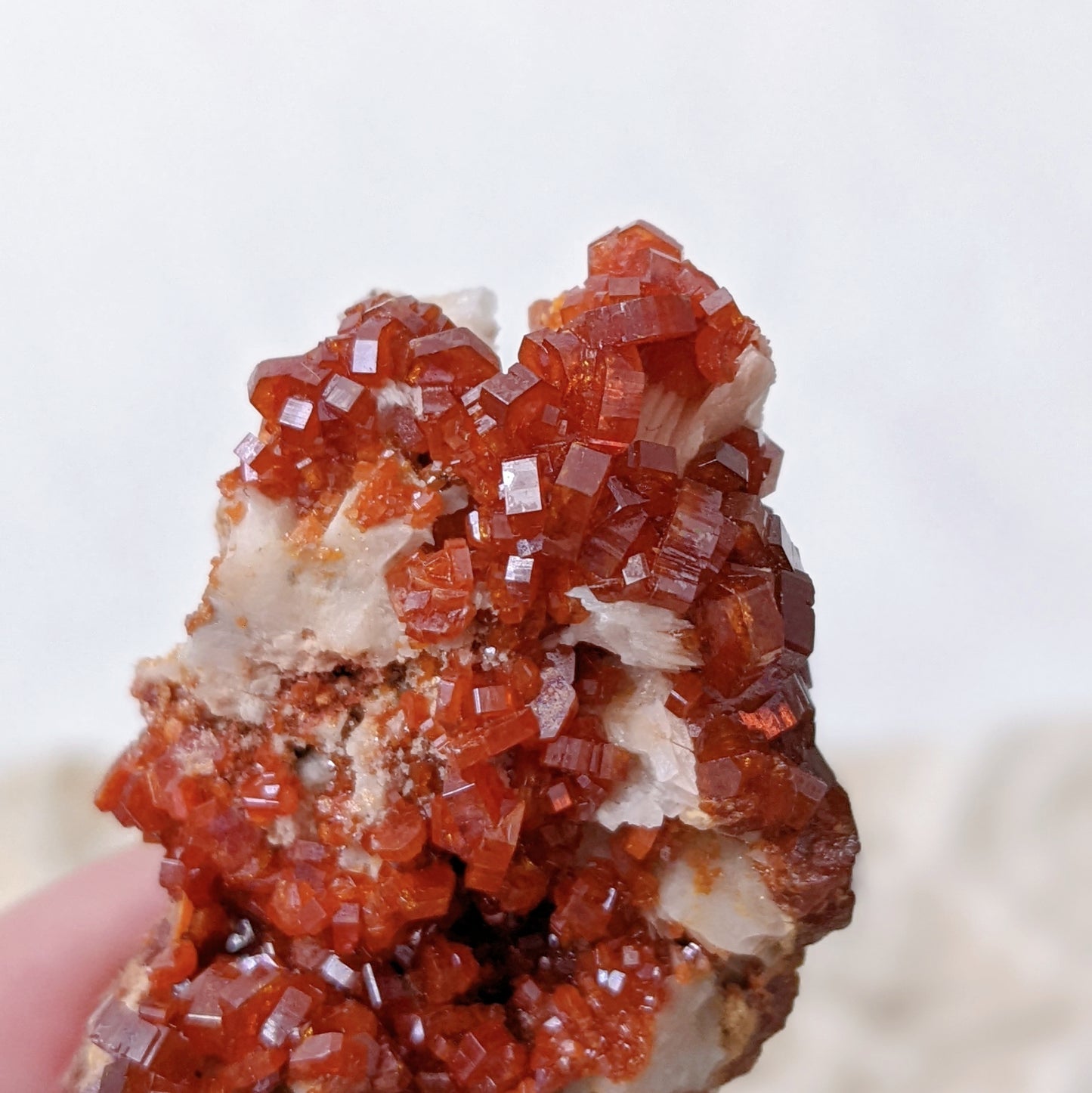 [VD03] High Grade Vanadinite on White Barite 精品摩洛哥釩鉛礦重晶石共生