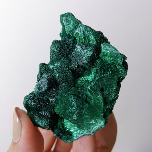 [MA07] High Grade Fibrous Malachite from Congo