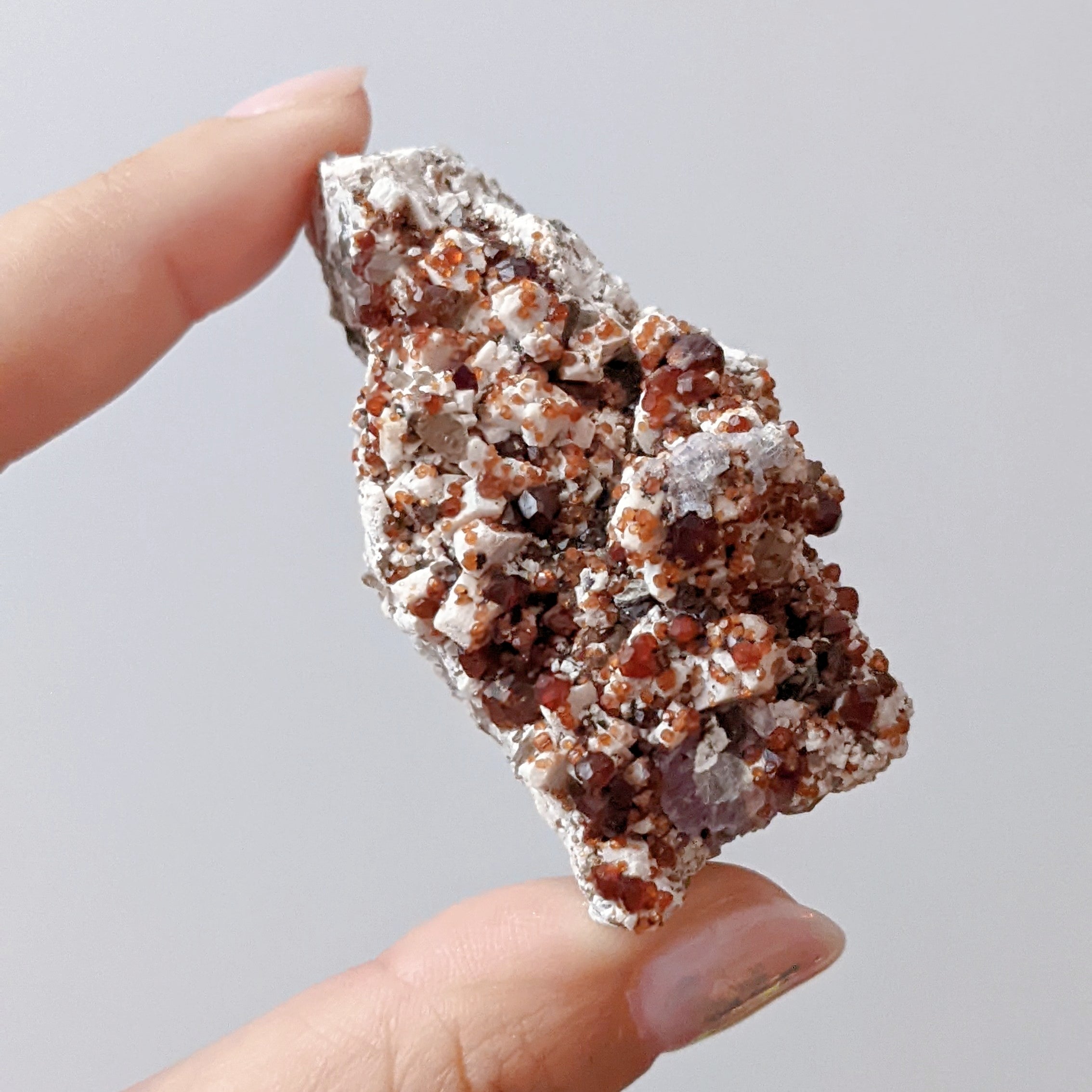 GS05] Smoky Quartz with Garnet Fluorite Hyalite 福建煙晶石榴