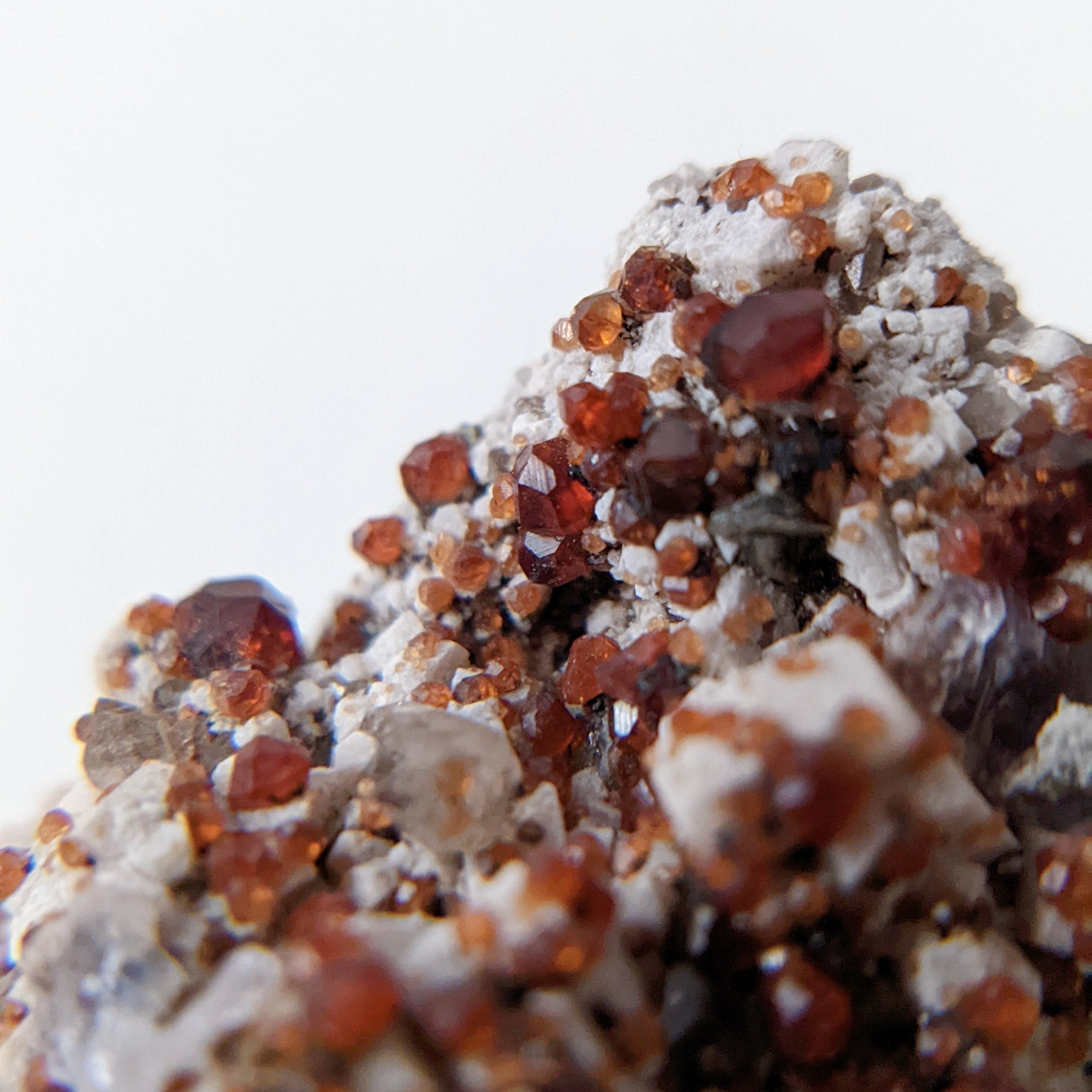 GS05] Smoky Quartz with Garnet Fluorite Hyalite 福建煙晶石榴