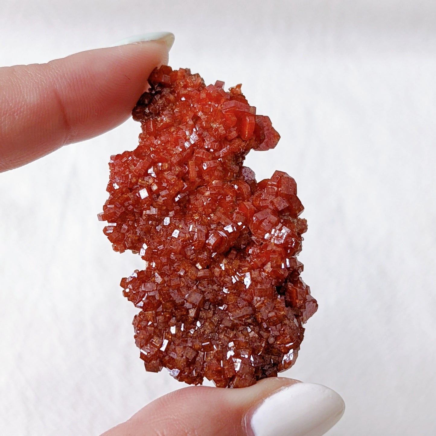 [VD06] High Grade Vanadinite 精品摩洛哥釩鉛礦