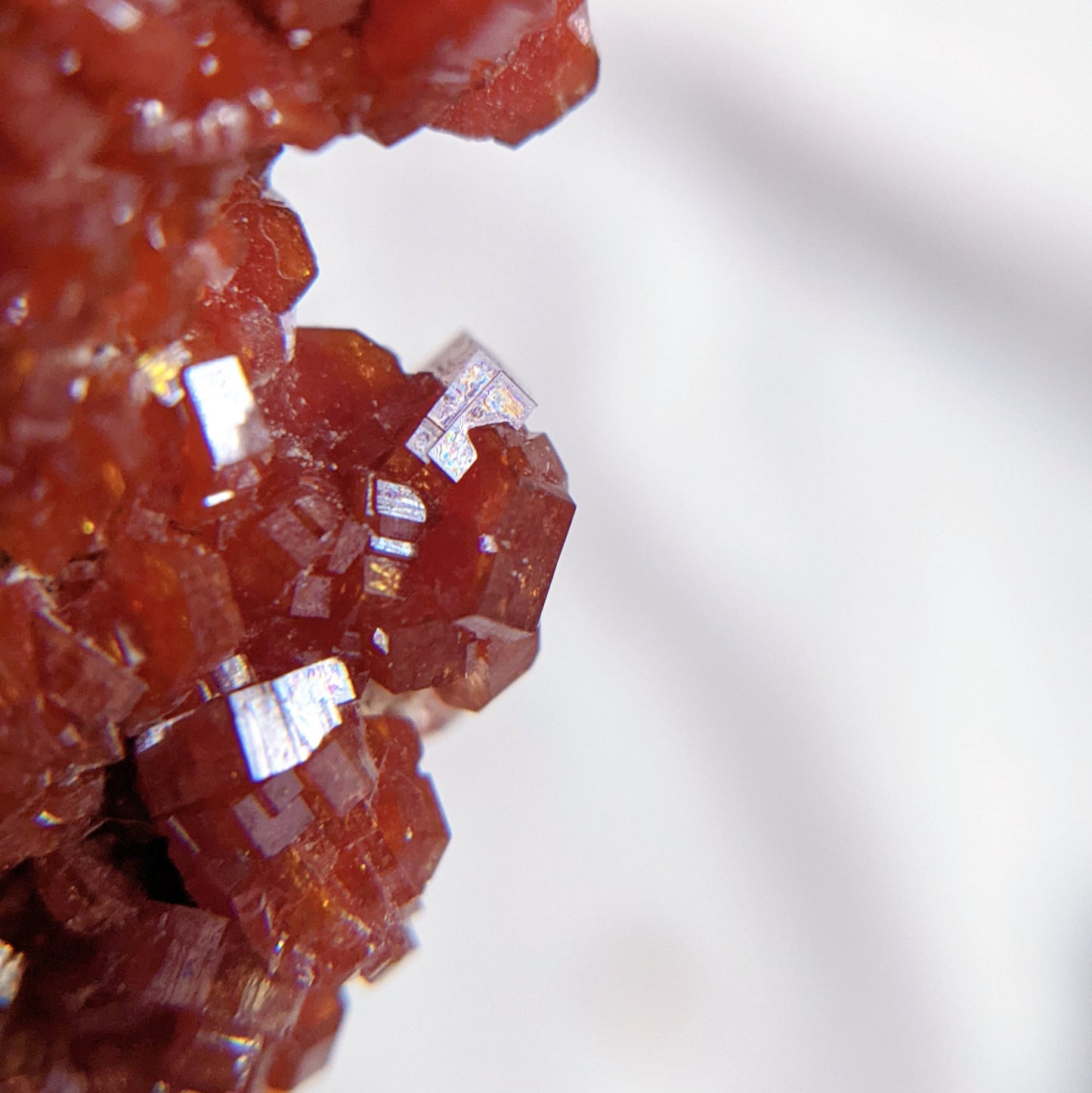 [VD06] High Grade Vanadinite 精品摩洛哥釩鉛礦