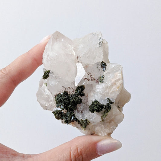 [EP06] Epidote with Clear Quartz 綠簾石水晶共生(花園水晶)