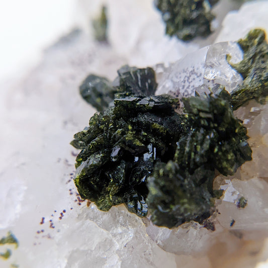 [EP06] Epidote with Clear Quartz 綠簾石水晶共生(花園水晶)