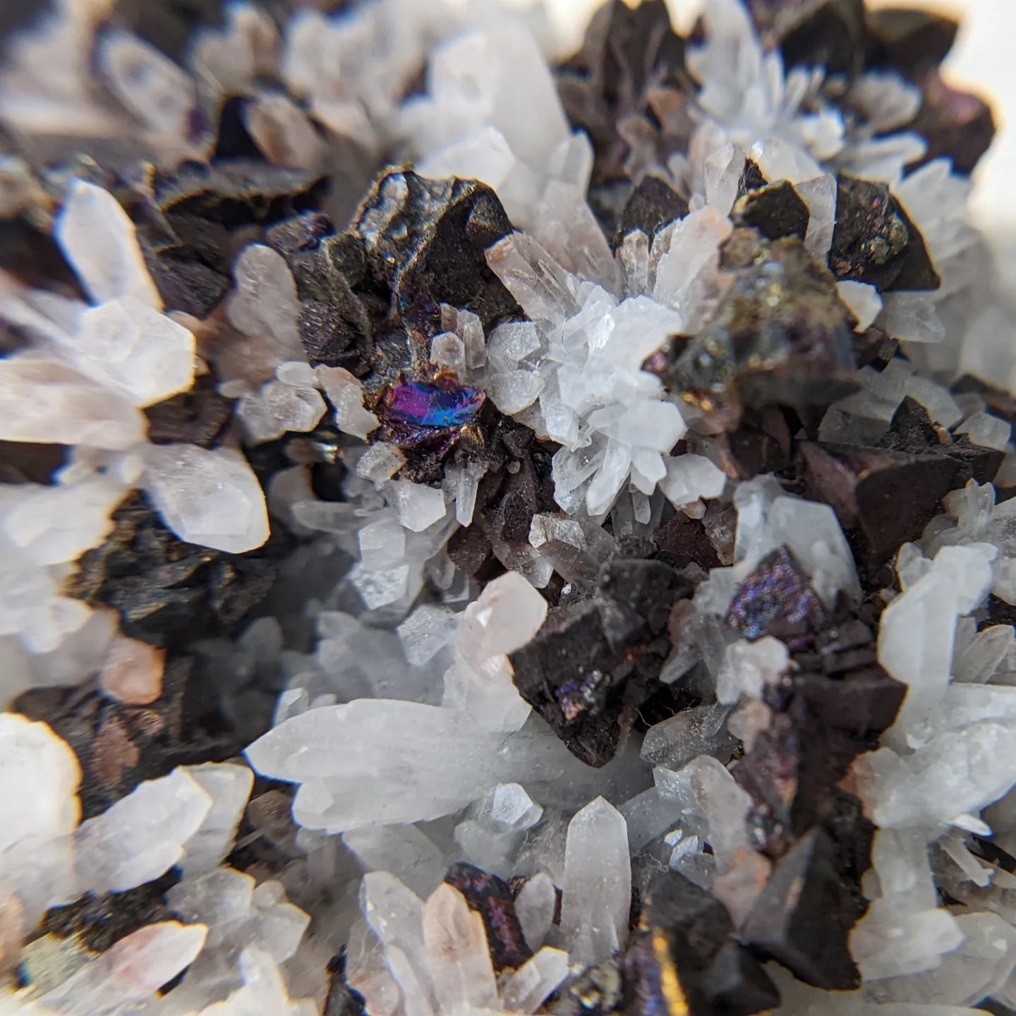 [CH05] Oxidized Chalcopyrite & Pyrite with Milky Quartz 黃銅礦黃鐵礦白水晶花共生
