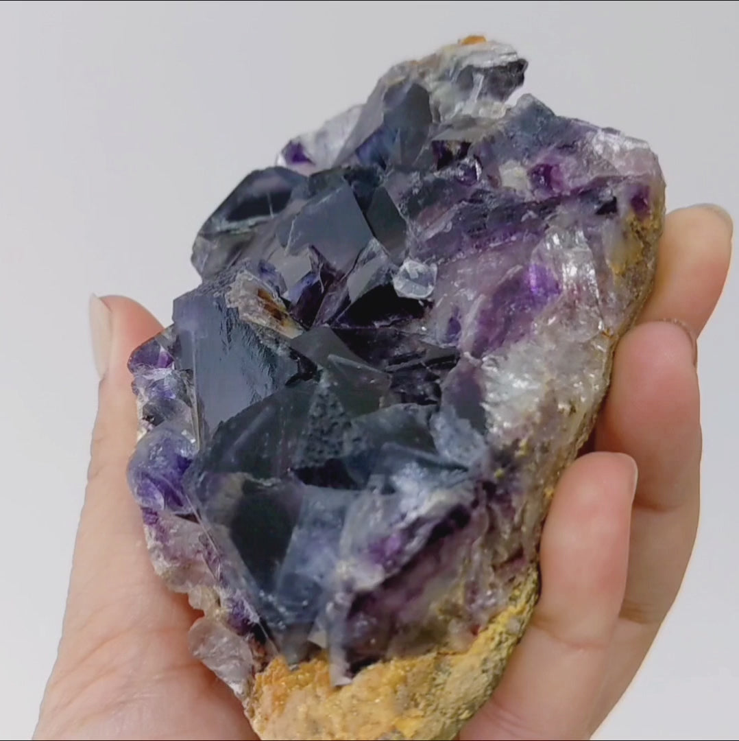 FL17] Inner Mongolia Purple Fluorite 內蒙幻影紫螢石– Moonpath Stones